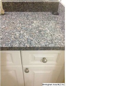 Bathroom Granite and Cabinets