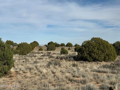 Lot 4 Ranch of the White Mountains, Concho, AZ 85924 - photo 3