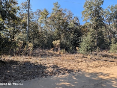 0070-0330 California Ave, Interlachen, FL 32148 - photo 2