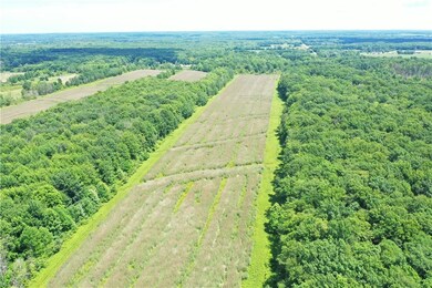 0 Stanhope Kelloggsville Rd unit 4473477, Denmark, OH 44032 - photo 3