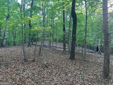 4301 Harold Whelchel Rd, Gainesville, GA 30506 - photo 4