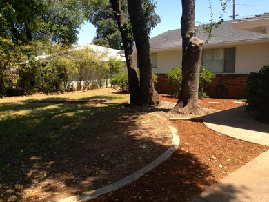 Front Yard 2