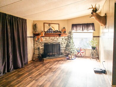 1745 N Dick Creek Rd, La Fayette, GA 30728 - photo 5