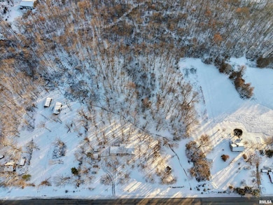 3831 E State Hwy, Shumway, IL 62461 - photo 6