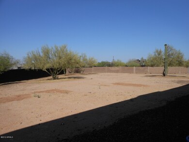 rear yard albanito