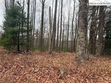 TBD Jobs Rd, Laurel Springs, NC 28644 - photo 6