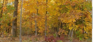 0 York Dr & Clark Ln, Bella Vista, AR 72714 - photo 2