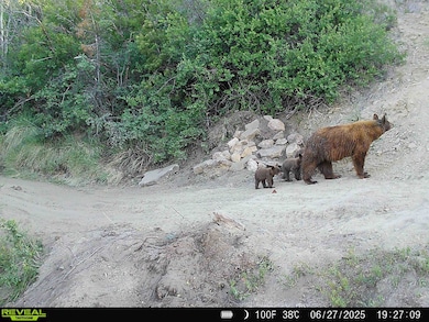 000 X 1 2 Rd, de Beque, CO 81630 - photo 6