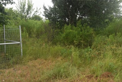 1302 Chapman Rd, Beasley, TX 77417 - photo 5