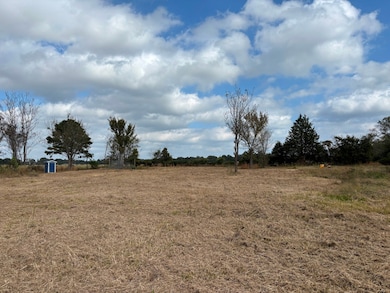 2443 Farm To Market Road 1653, Ben Wheeler, TX 75754 - photo 4