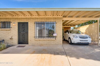 Queen Palm Cir-2