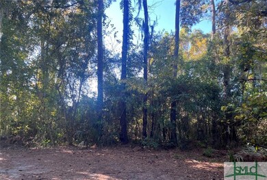 0 Furber Ave unit 328119, Savannah, GA 31404 - photo 2