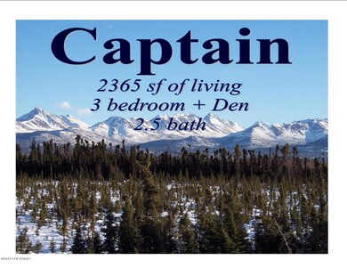 Captain Info