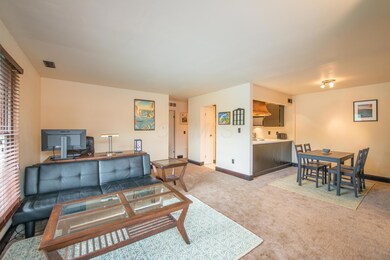 Living/Dining/Kitchen