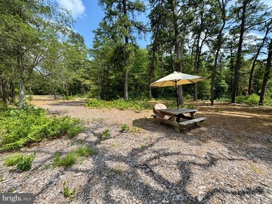 4320 Lake Nescochague Dr, Hammonton, NJ 08037 - photo 7