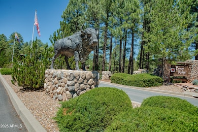 4660 W Tatanka Loop, Show Low, AZ 85901 - photo 2