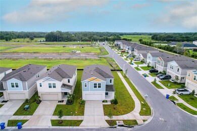 7540 Freesia Trace, Wesley Chapel, FL 33545 - photo 3