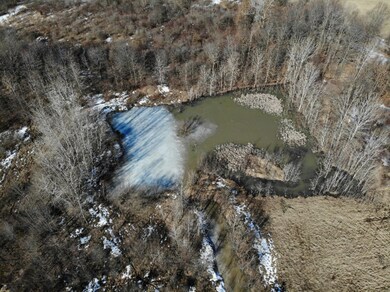 DJI_0505
