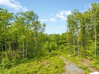 0 Tug Mountain Rd, Lunenburg, VT 05906 - photo 5