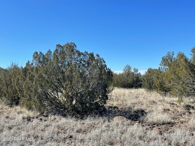 37a Juniperwood Ranch, Ash Fork, AZ 86320 - photo 5