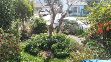 Front yard Fruit and flowers (and a lot of humming birds visiting)