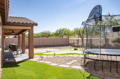 Backyard D