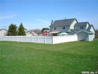 Backyard.