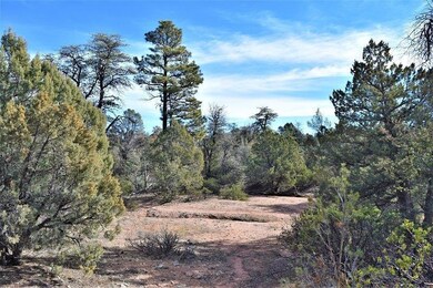 Lot 48 of Manzanita Hills (1)