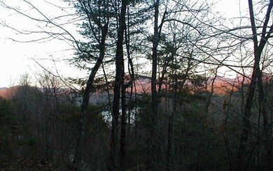 Additional View