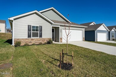 1038 Persimmon Hollow, Greeneville, TN 37745 - photo 2