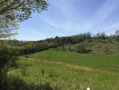 IMG_1355