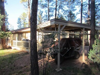 6362 W Jan Dr, Pine, AZ 85544 - photo 4