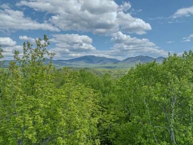 00 Iron Foundry Rd unit 153-6, Franconia, NH 03580 - photo 2