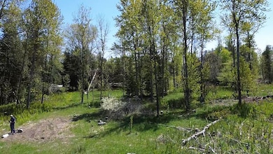 Us 23 Lot unit WP001, Ossineke, MI 48381 - photo 6