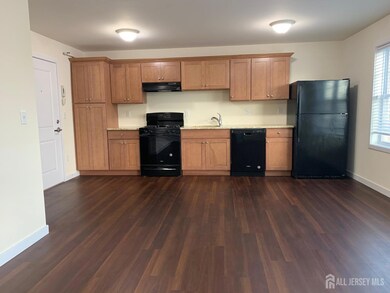 430 Hamilton Ave unit B, South Plainfield, NJ 07080 - photo 4