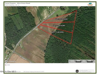Lot 2 Wire Grass Rd, Orrum, NC 28369 - photo 6