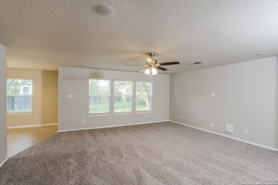 10519 Cosmos Canyon, Helotes, TX 78023 - photo 2