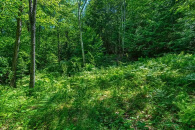 1090 Route 114, Bradford, NH 03221 - photo 3