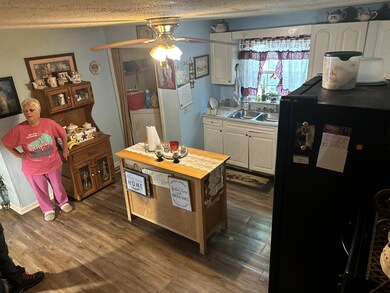 903 Crittenden Ave, Chickamauga, GA 30707 - photo 2