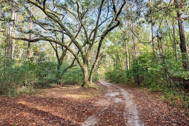 0 Spring Grove Rd, Adams Run, SC 29426 - photo 2