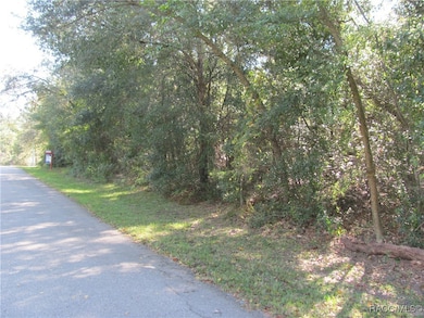 1264 E Getty Ln, Hernando, FL 34442 - photo 2