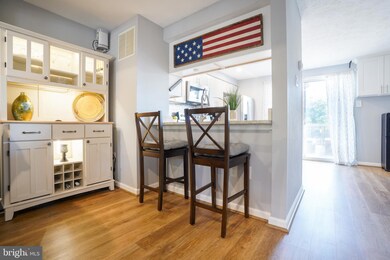 2251 Riding Crop Way, Windsor Mill, MD 21244 - photo 5