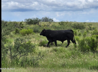 Double U 400n Bull