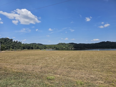 2427 Hardin Bottom River Rd, Clifton, TN 38425 - photo 7