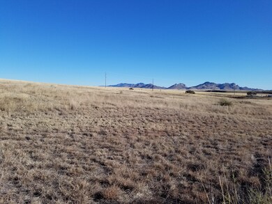 long view