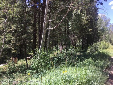 Shelton_IMG_1819