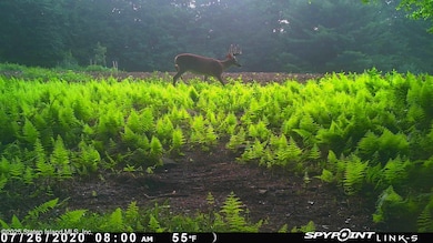 2340 Sands Creek Rd, Hancock, NY 13783 - photo 6