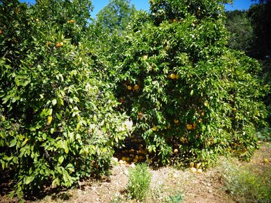 32829 Lilac unit 32829, Valley Center, CA 92082 - photo 4