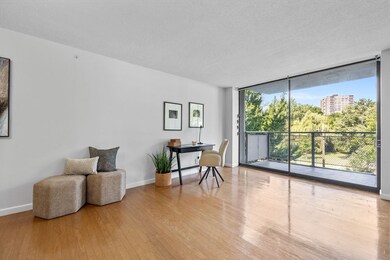 Park Street Condominiums unit 23, Brookline, MA 02446 - photo 5