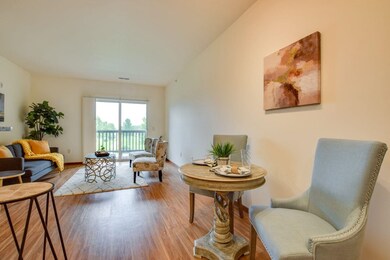 5194 Sassafras Dr unit 203, Fitchburg, WI 53711 - photo 4